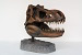 Fossils Prehistoric Animals/Reptiles Statues